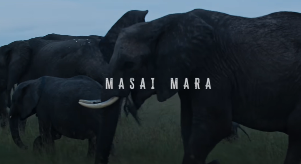 Masai Mara - The Safari of a LifeTime!