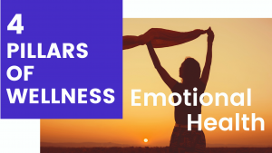 4 Pillars of Mental Wellness - Emotional Health